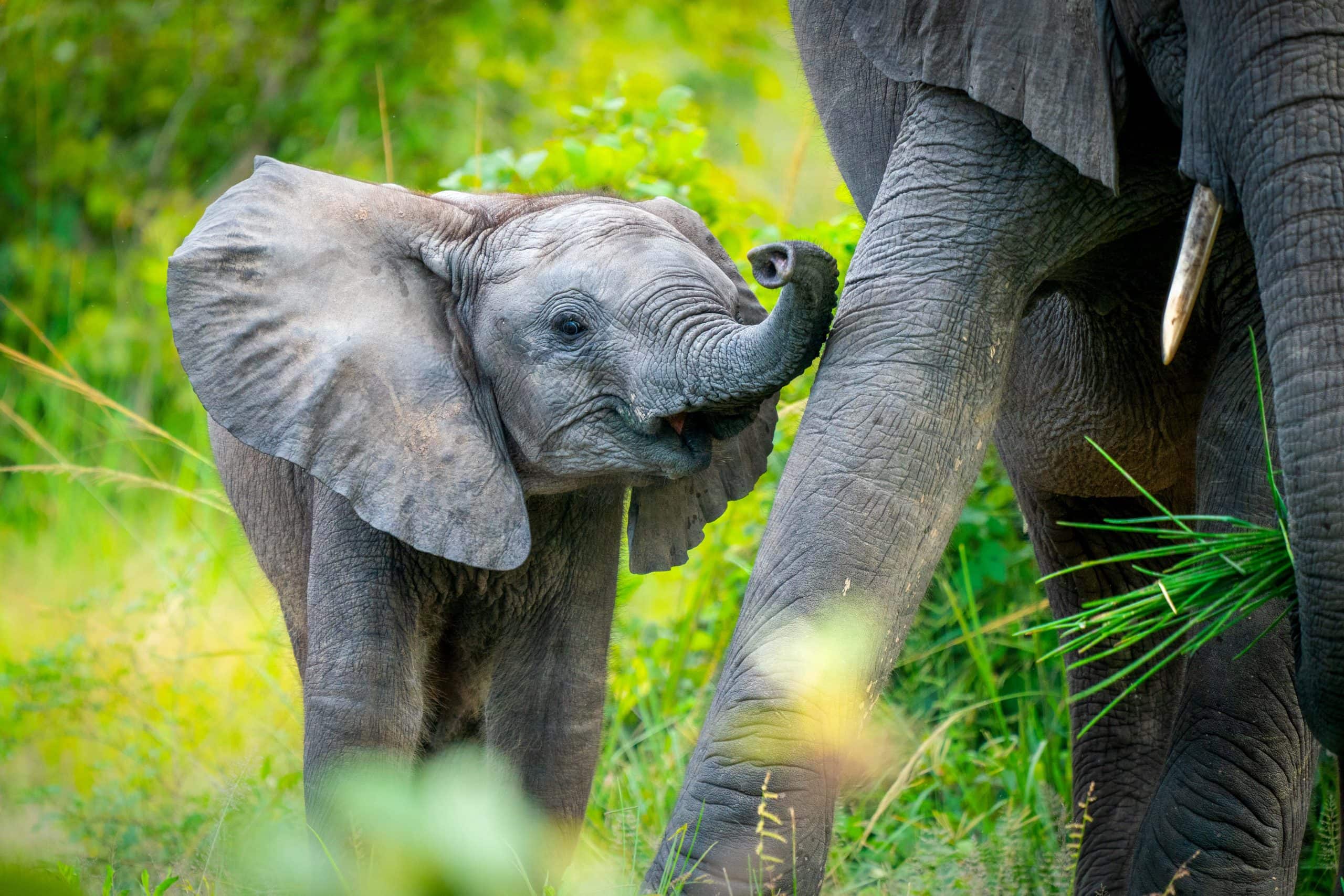 Rivers_Rainbows_Intro