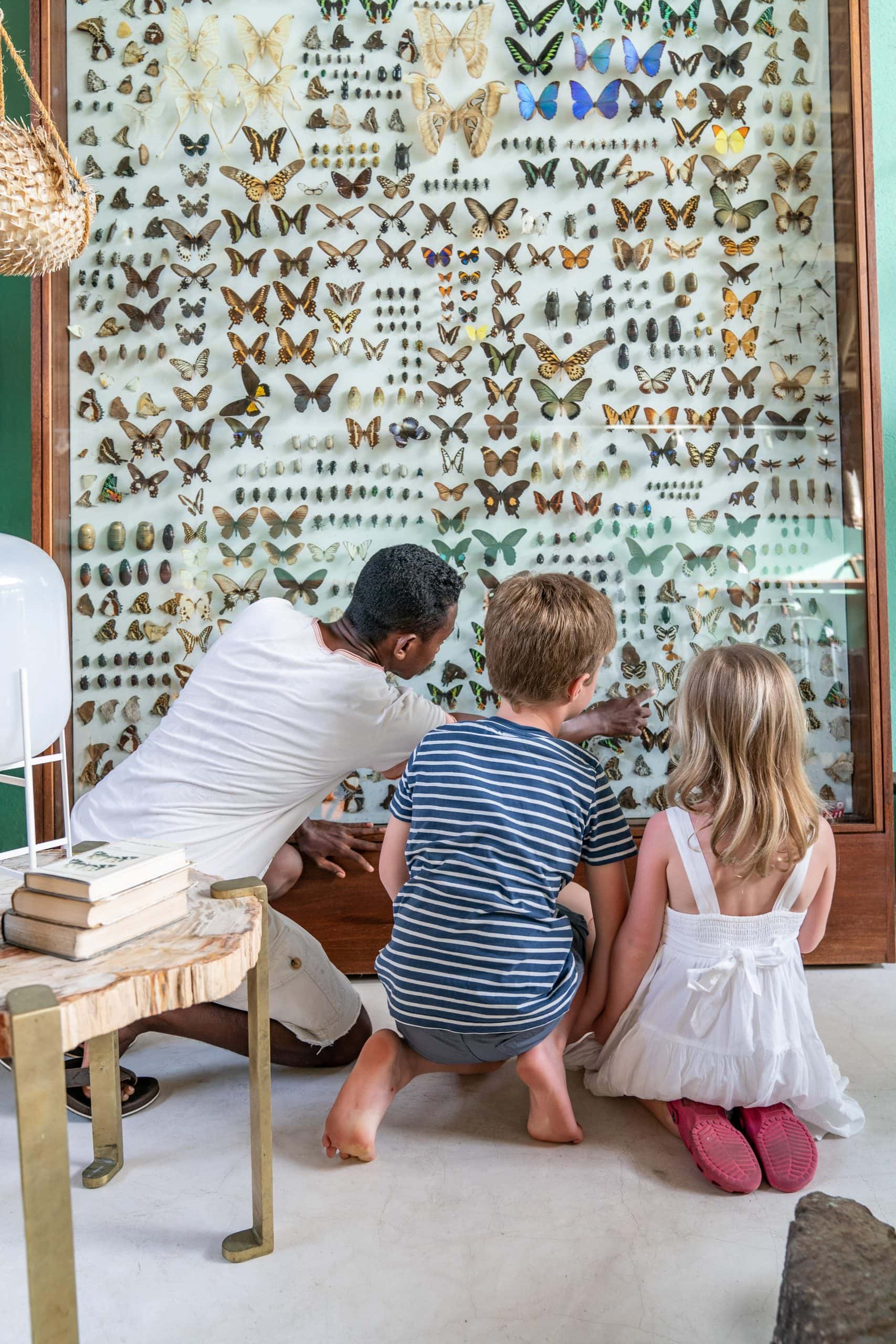 Activity + Cabinet 12 (1)