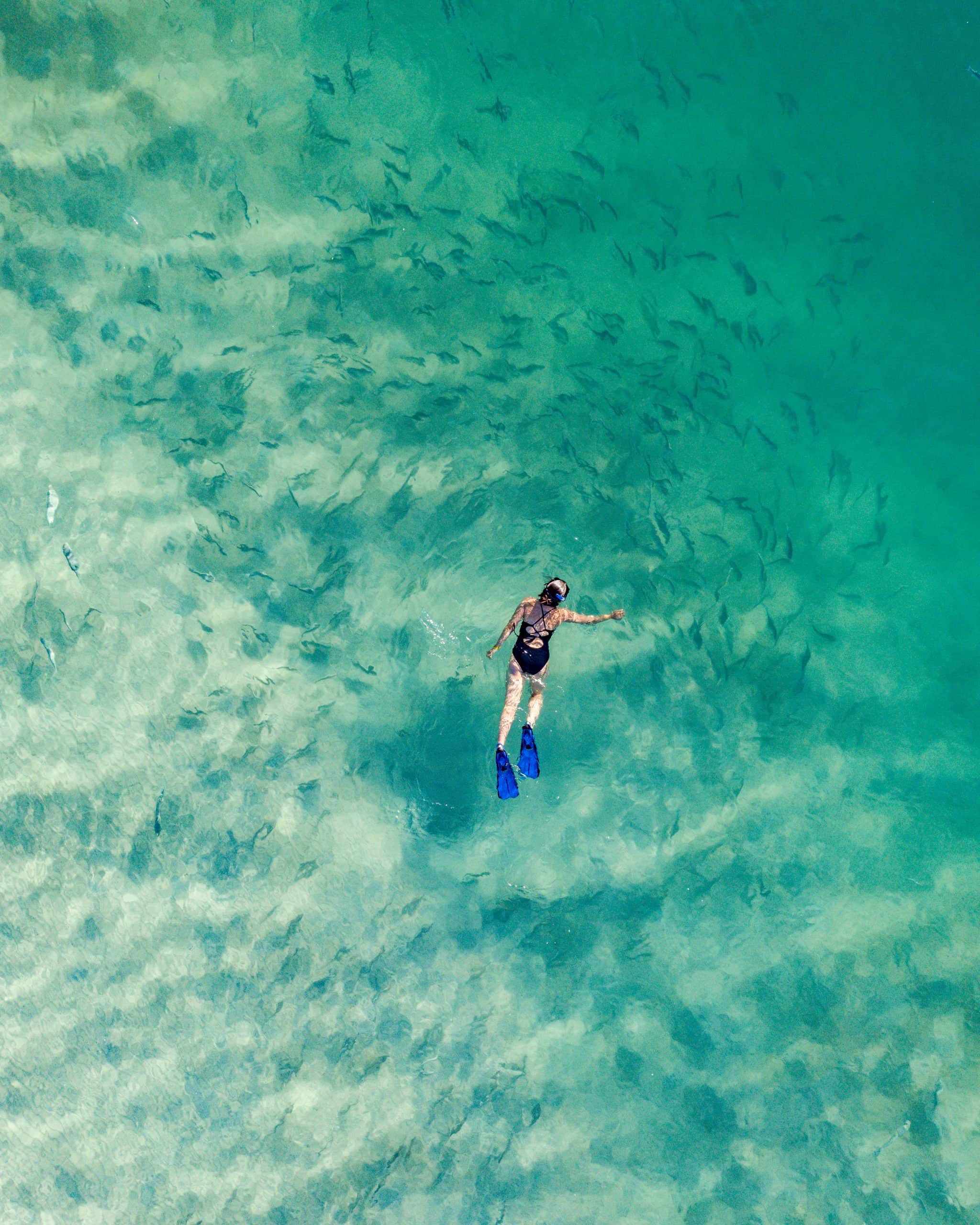 Experience snorkelling with Miavana by Time + Tide