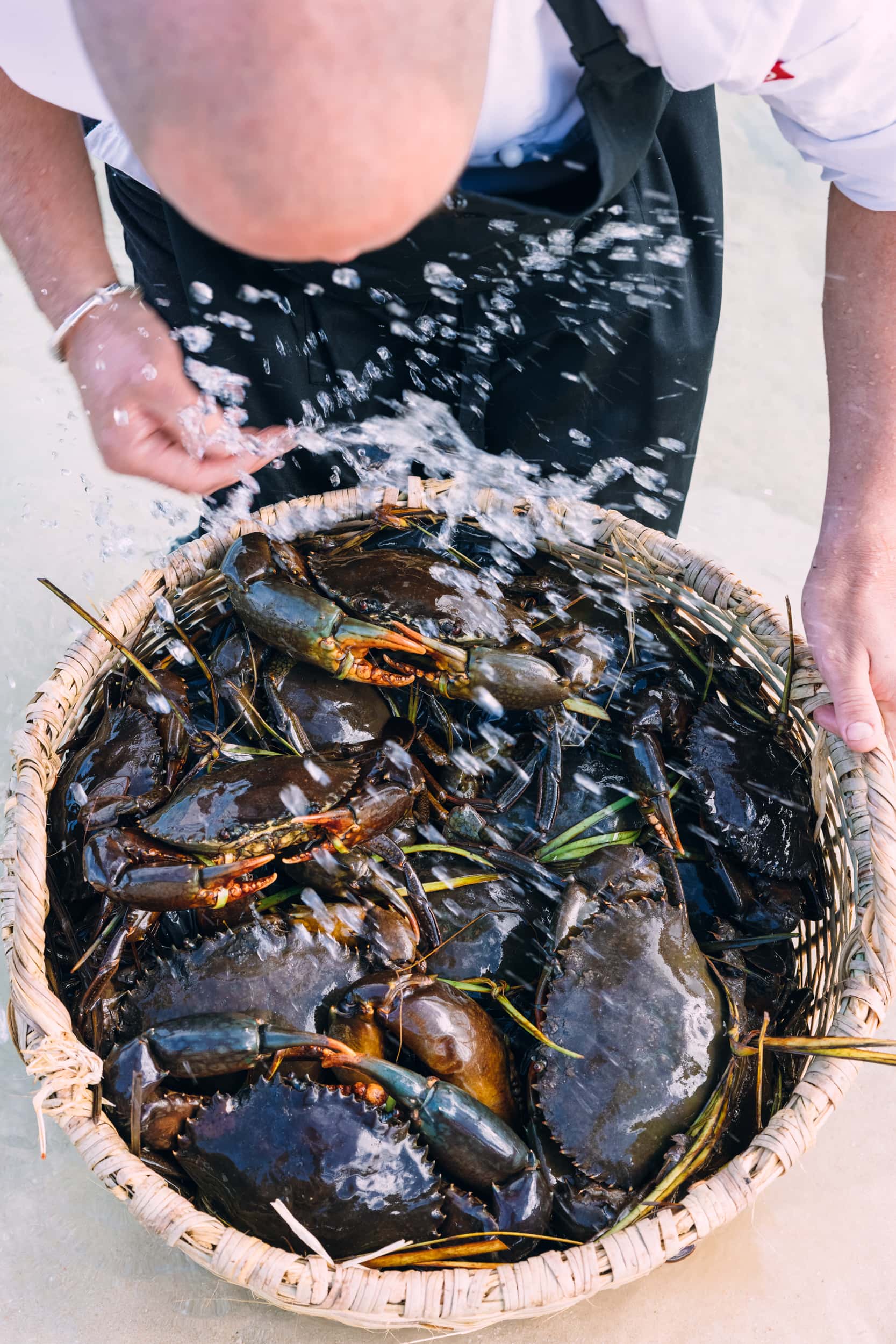 Miavana - Dining - Crab 2500px 005